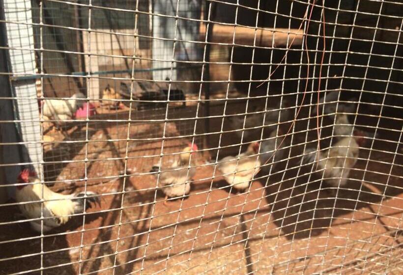 The Cradle Berry Farm