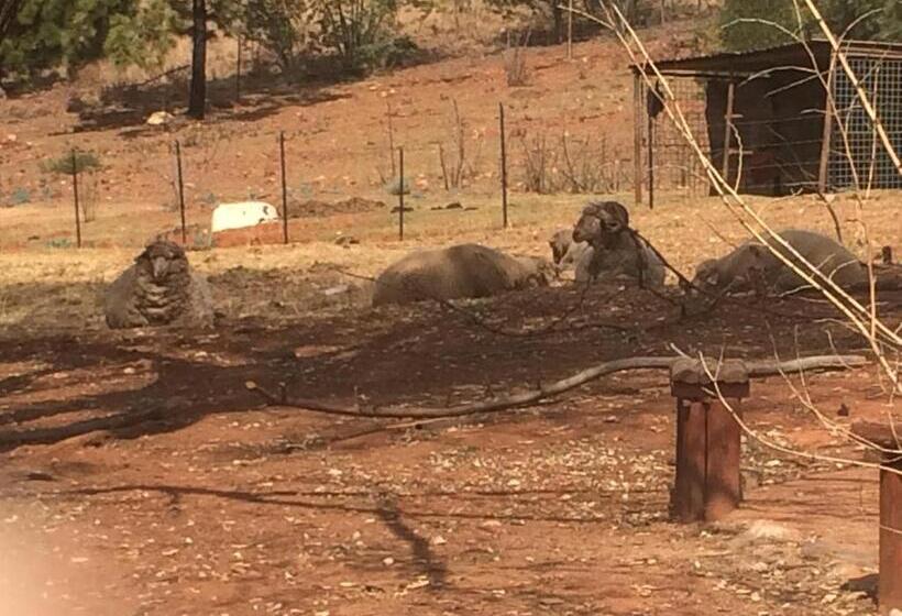 The Cradle Berry Farm