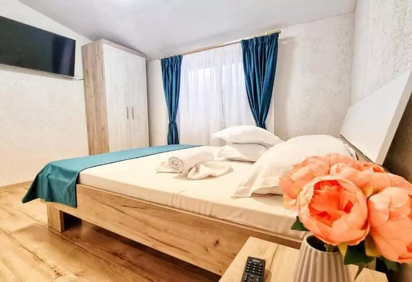 ペンション Casa Otilia   Tuzla