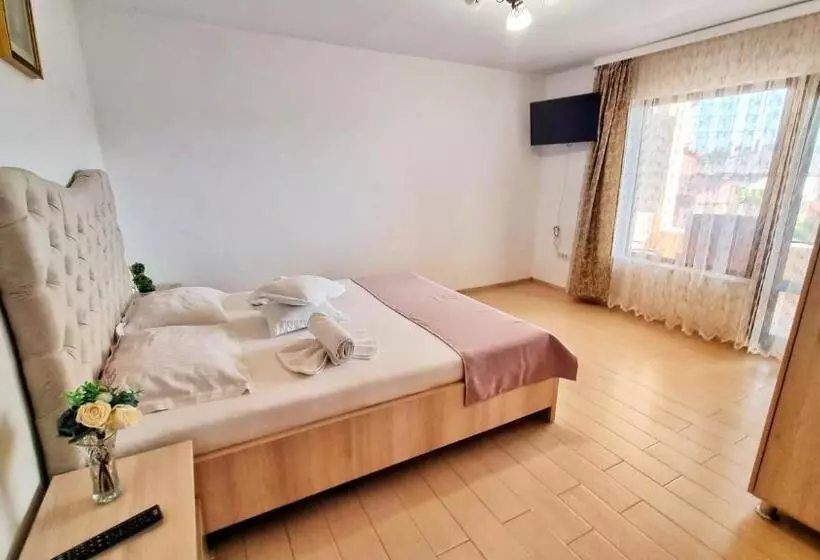 ペンション Casa Otilia   Tuzla