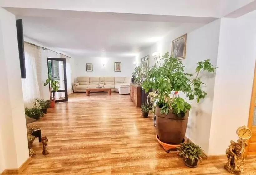 ペンション Casa Otilia   Tuzla