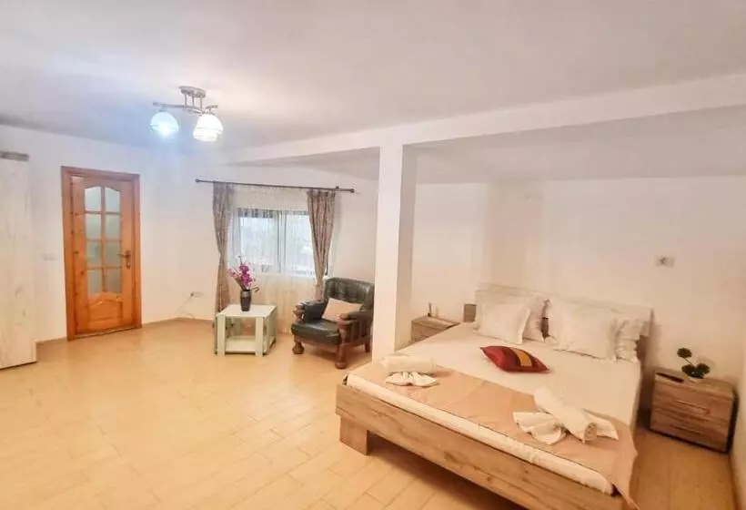 ペンション Casa Otilia   Tuzla