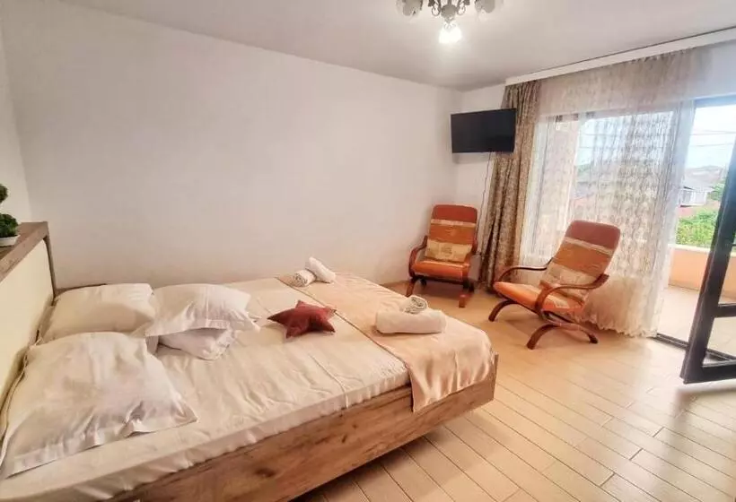 ペンション Casa Otilia   Tuzla