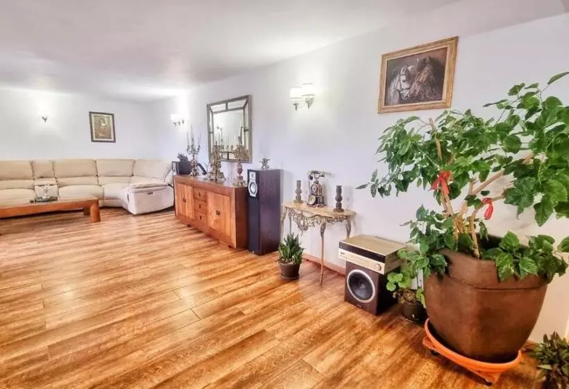 ペンション Casa Otilia   Tuzla