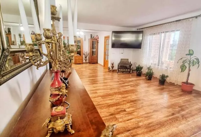 ペンション Casa Otilia   Tuzla