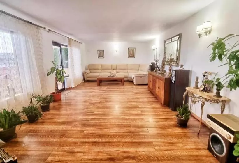 ペンション Casa Otilia   Tuzla