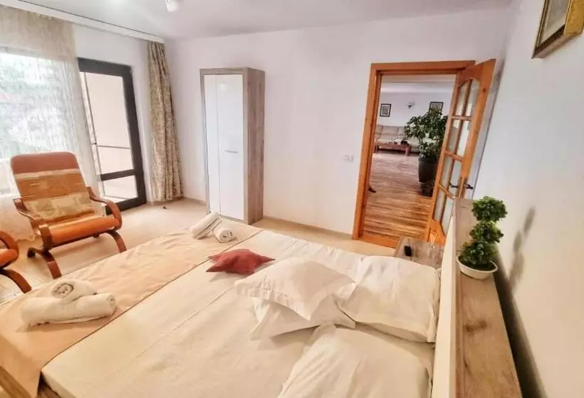 ペンション Casa Otilia   Tuzla