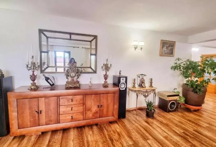 ペンション Casa Otilia   Tuzla