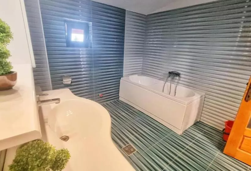 ペンション Casa Otilia   Tuzla