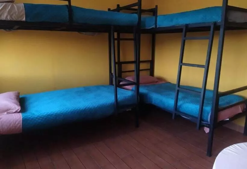 تختخواب و صبحانه Hostal Alejandra