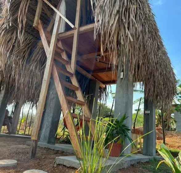 ペンション Sasy Tipis
