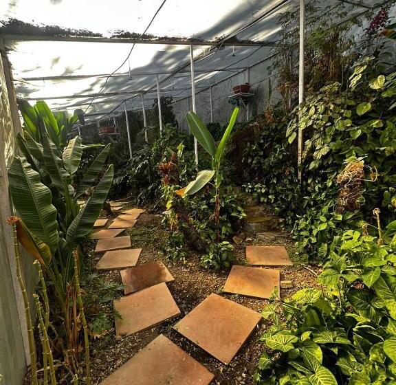 Kurort Aestus Adventure And Wellness Centre