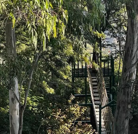Lomakeskus Aestus Adventure And Wellness Centre