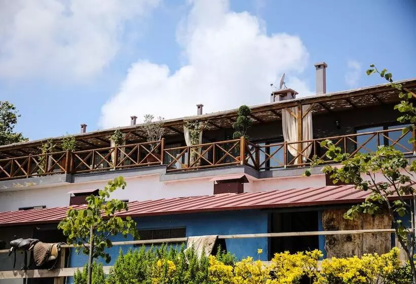 リゾートホテル Mavi̇ At Hotel Blue Horse