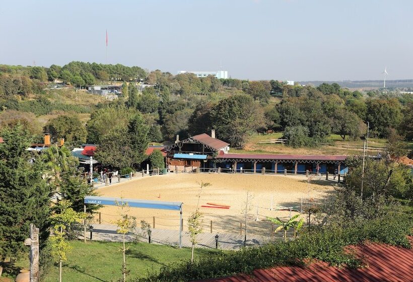 渡假胜地  Mavi̇ At Hotel Blue Horse