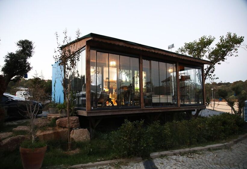 渡假胜地  Mavi̇ At Hotel Blue Horse