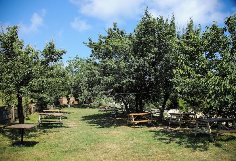 渡假胜地  Mavi̇ At Hotel Blue Horse