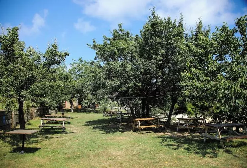 リゾートホテル Mavi̇ At Hotel Blue Horse