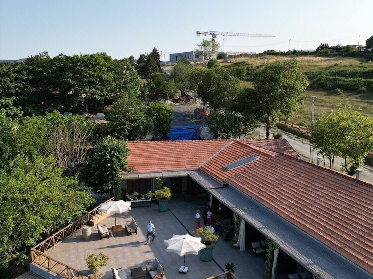 渡假胜地  Mavi̇ At Hotel Blue Horse