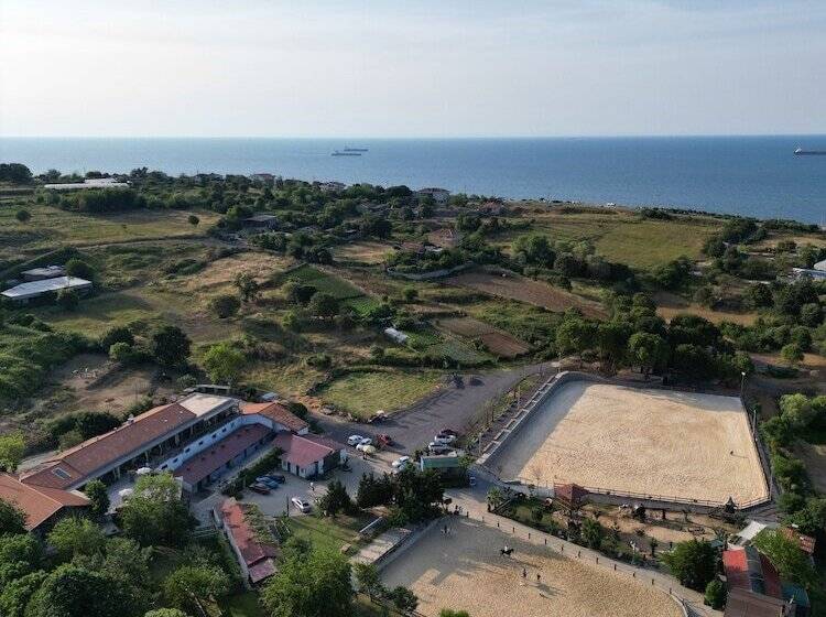 渡假胜地  Mavi̇ At Hotel Blue Horse