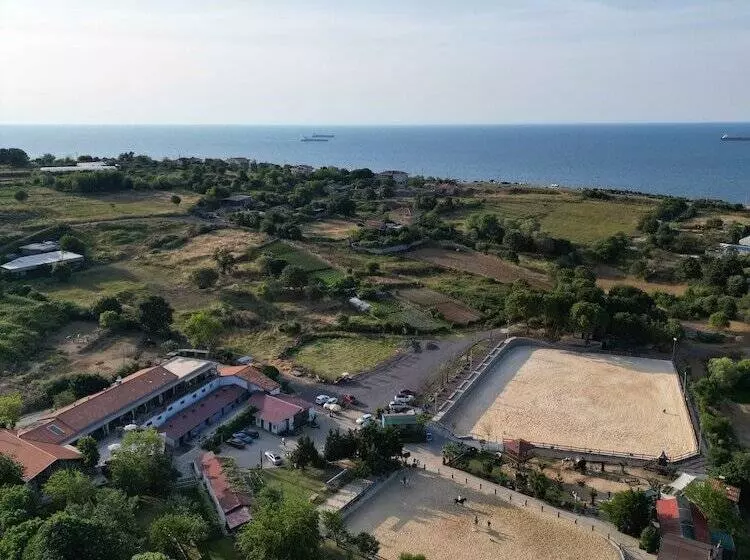 リゾートホテル Mavi̇ At Hotel Blue Horse