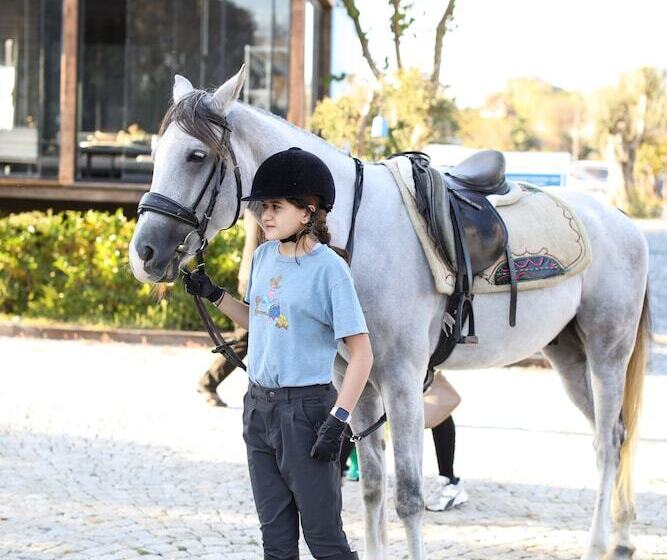 渡假胜地  Mavi̇ At Hotel Blue Horse