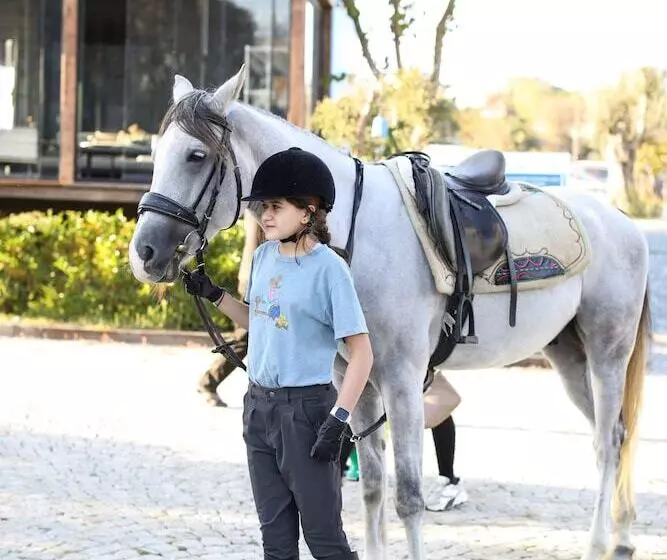 リゾートホテル Mavi̇ At Hotel Blue Horse