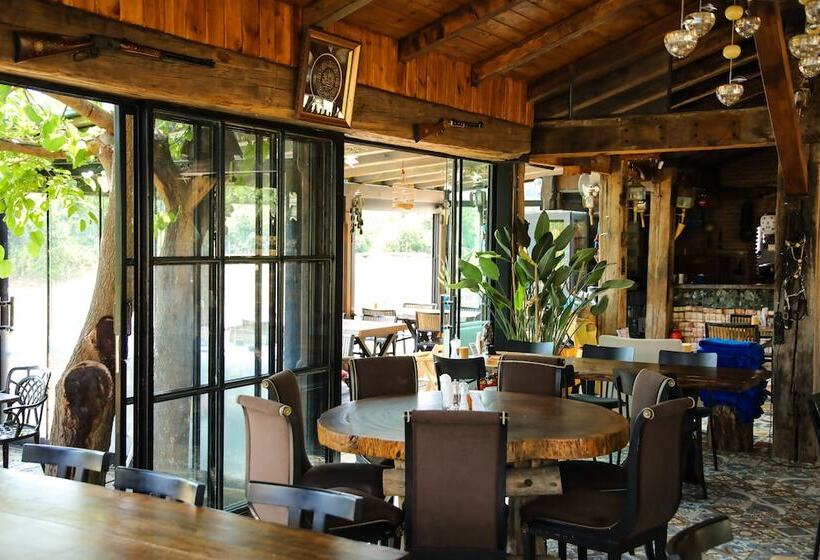 渡假胜地  Mavi̇ At Hotel Blue Horse