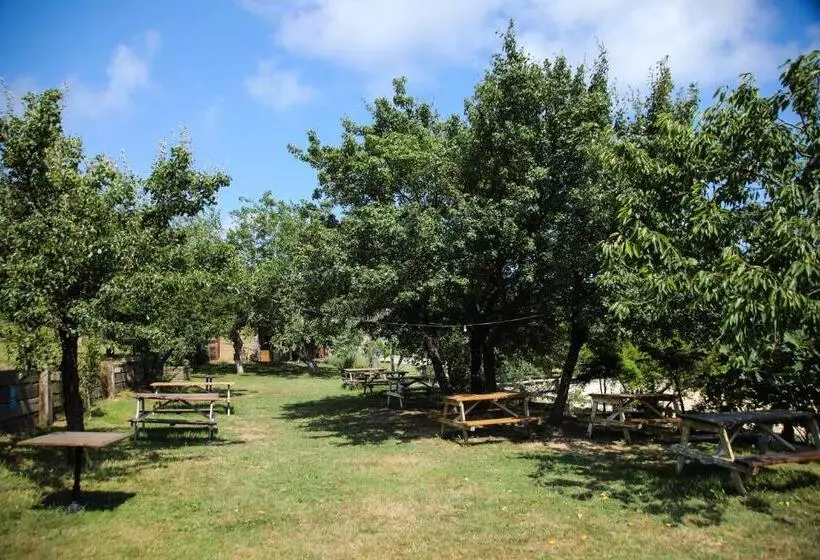 リゾートホテル Mavi̇ At Hotel Blue Horse