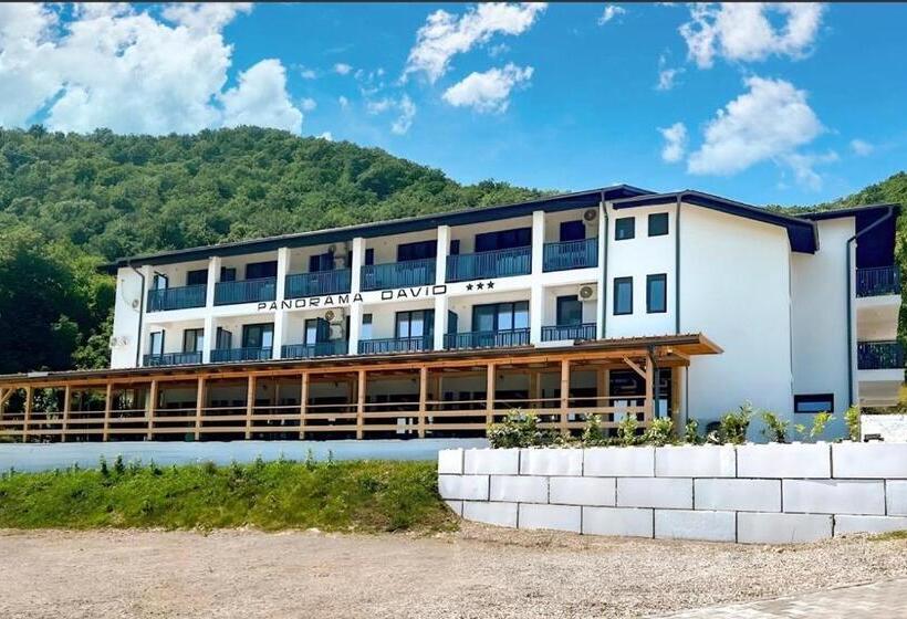 펜션 Panorama David
