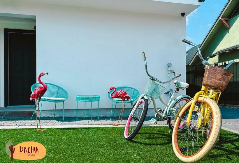 ユースホステル Dacha