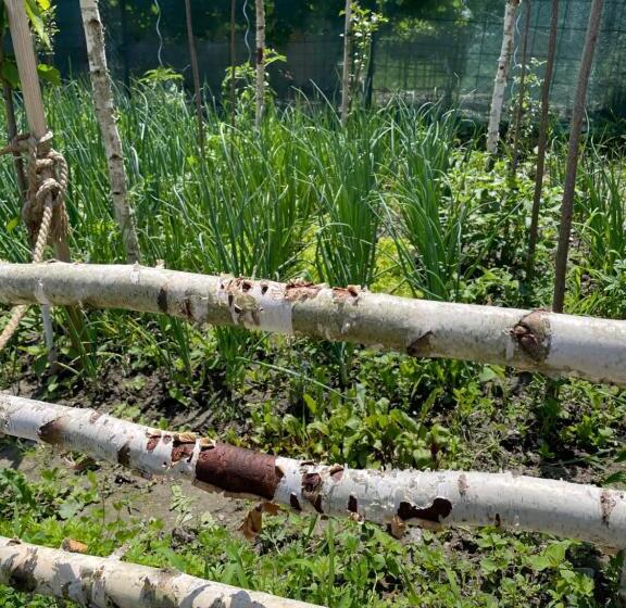 פנסיון La Novaci Porumbacu De Sus 270