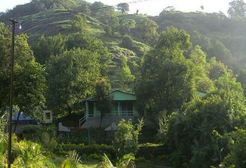 Euphoria Wild Life Resort & Camping Bhorgiri