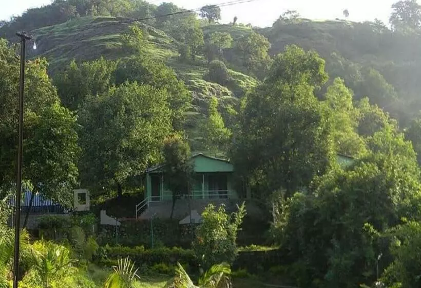 Euphoria Wild Life Resort & Camping Bhorgiri