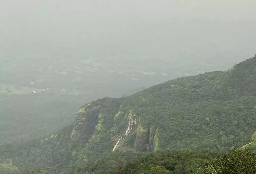 Euphoria Wild Life Resort & Camping Bhorgiri