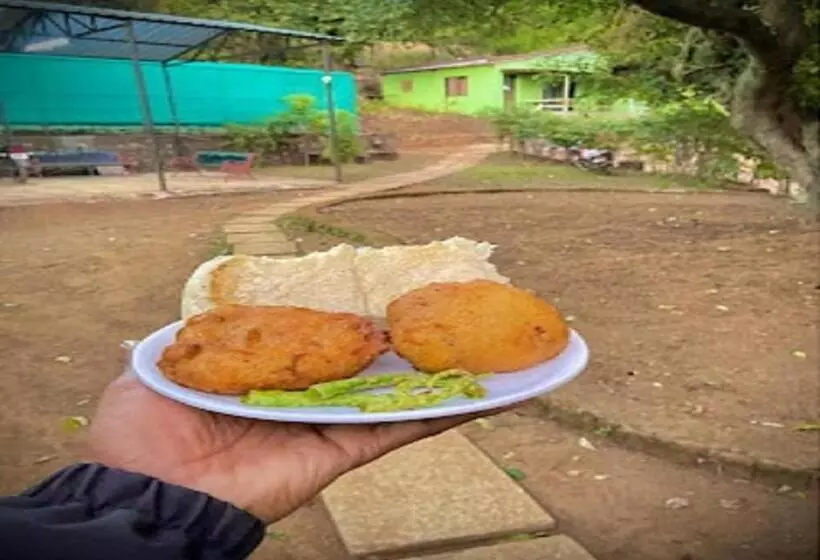 Euphoria Wild Life Resort & Camping Bhorgiri