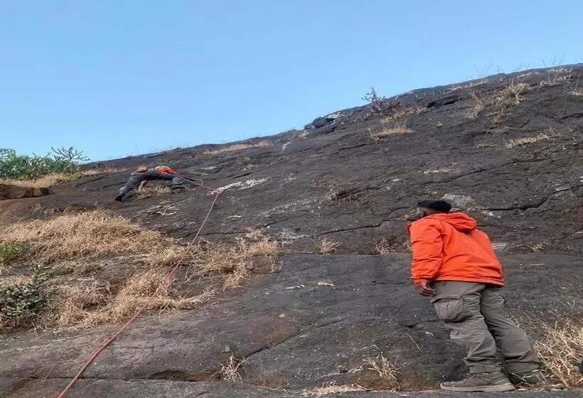 Euphoria Wild Life Resort & Camping Bhorgiri