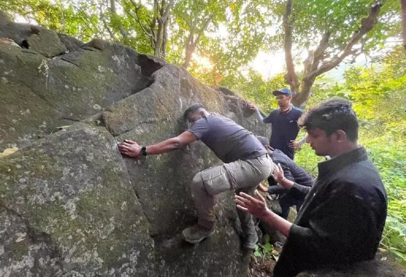 Euphoria Wild Life Resort & Camping Bhorgiri