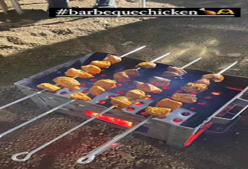 Euphoria Wild Life Resort & Camping Bhorgiri