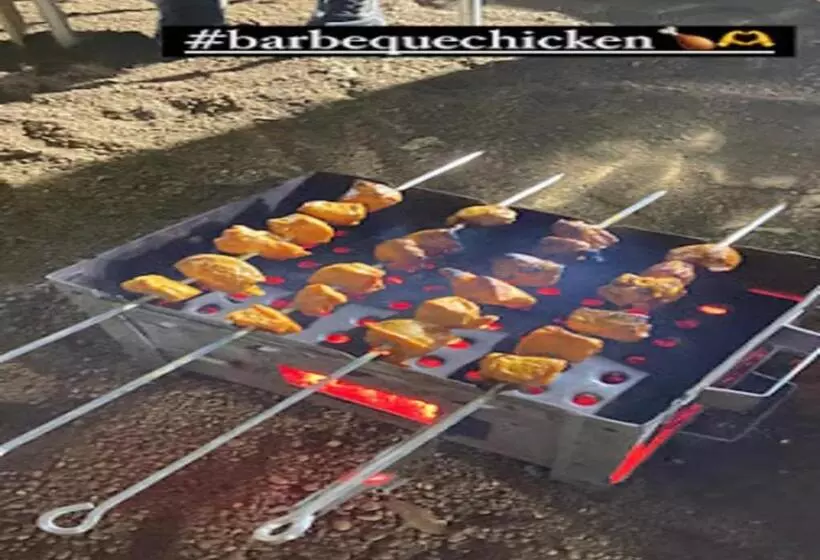 Euphoria Wild Life Resort & Camping Bhorgiri