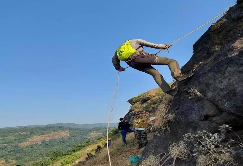 Euphoria Wild Life Resort & Camping Bhorgiri