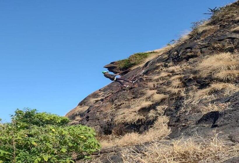 Euphoria Wild Life Resort & Camping Bhorgiri