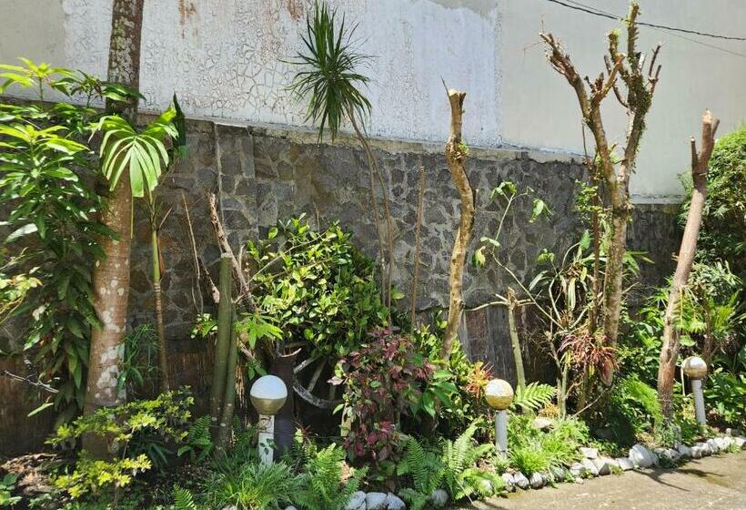 هاستل Country Sampler Inn