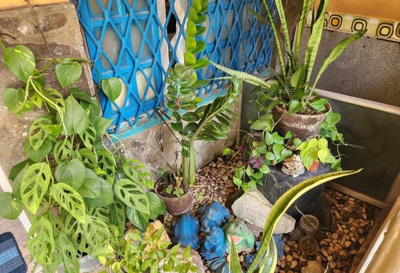 هاستل Country Sampler Inn