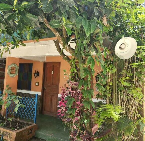 هاستل Country Sampler Inn