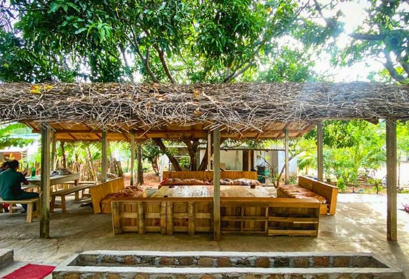 호스텔 Laughing Leopard Trinco