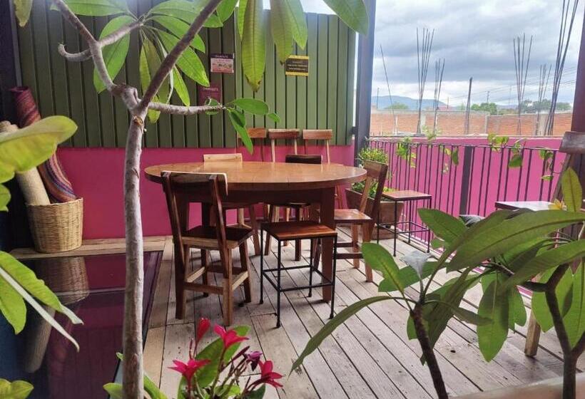 膳宿费 Hostal Chocolate Calenda