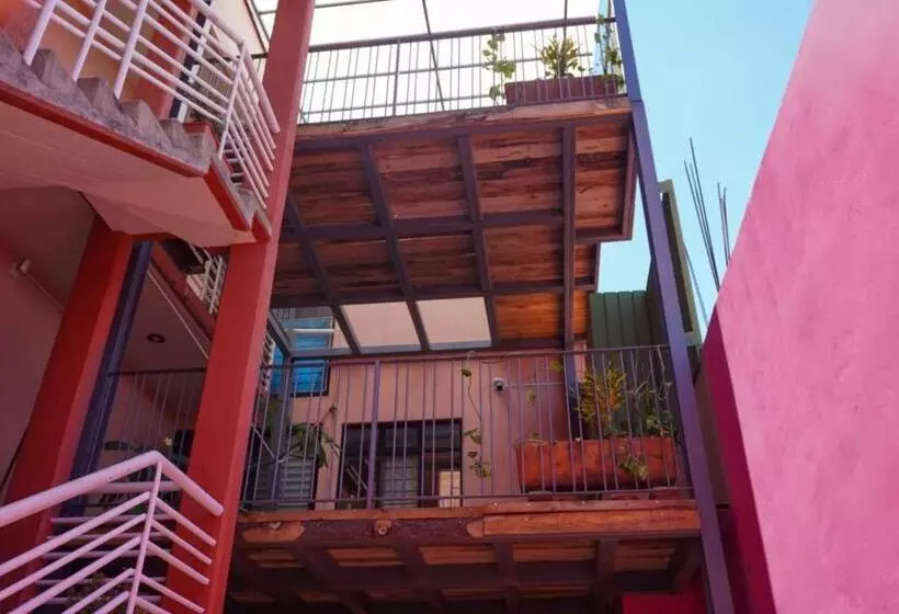 پانسیون Hostal Chocolate Calenda