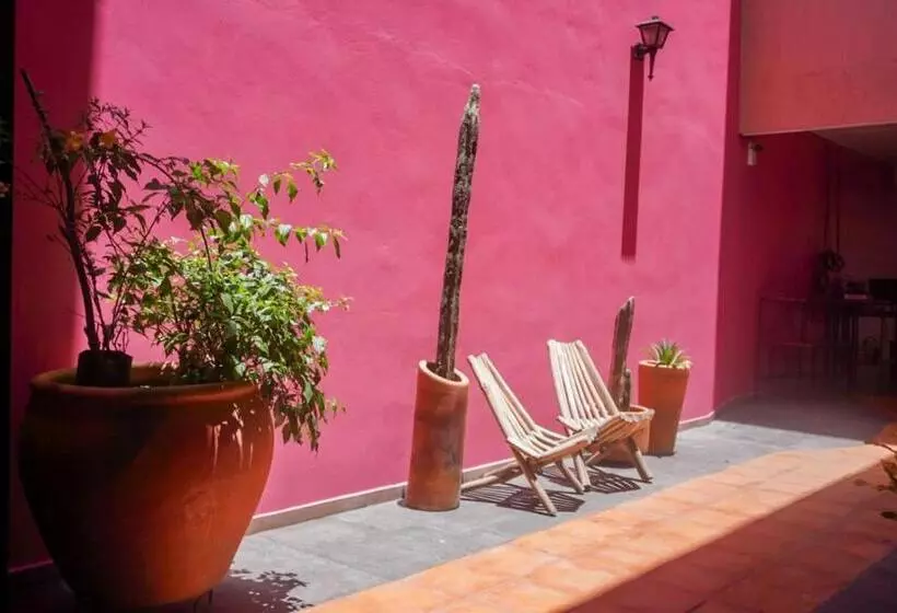 پانسیون Hostal Chocolate Calenda