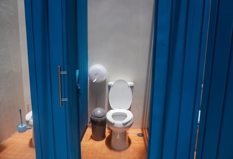 膳宿费 Hostal Chocolate Calenda